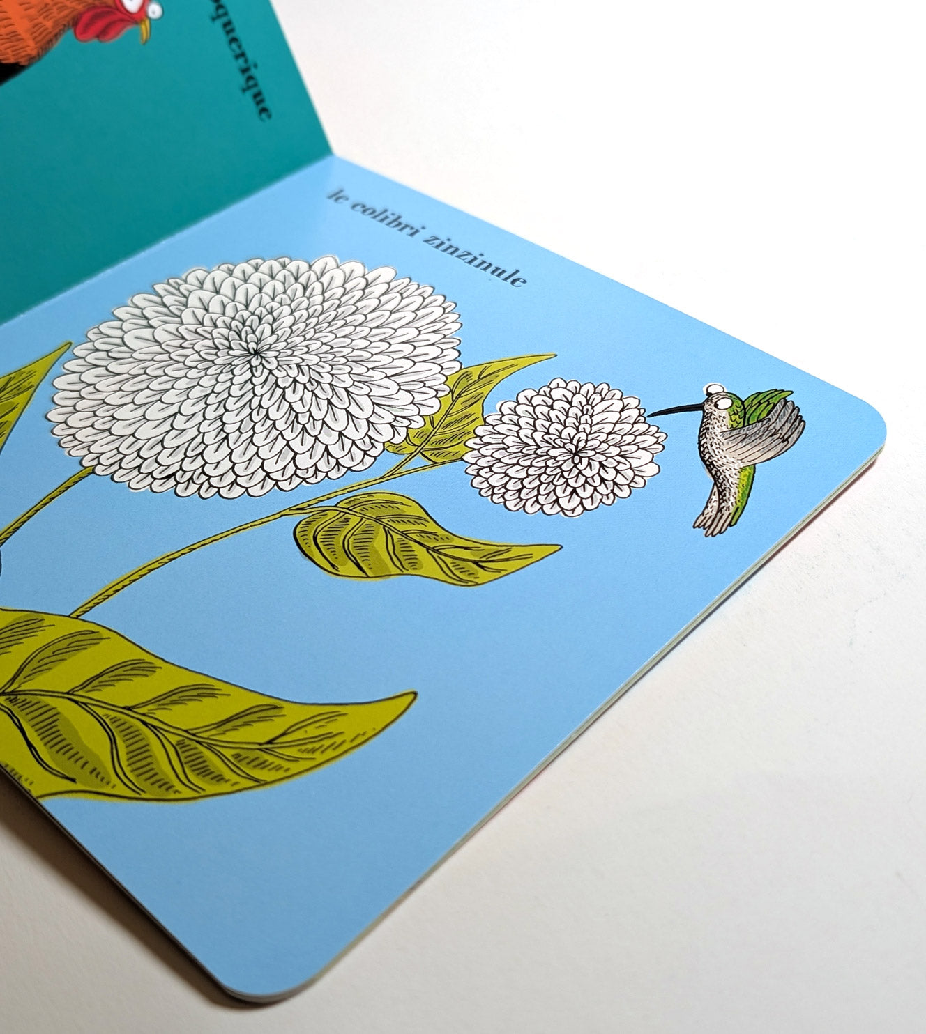 Mini encyclopédie des cris des oiseaux