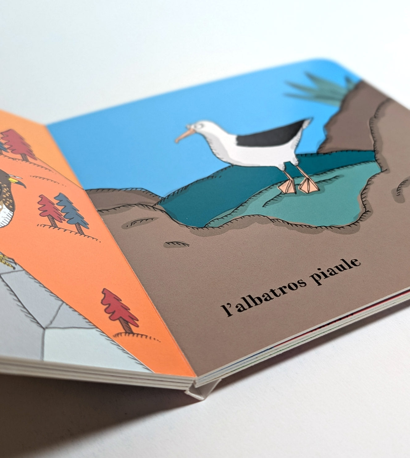 Mini encyclopédie des cris des oiseaux
