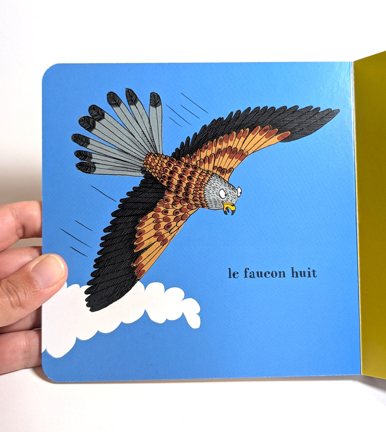Mini encyclopédie des cris des oiseaux
