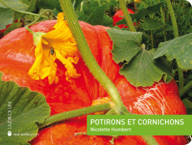 Potirons et cornichons