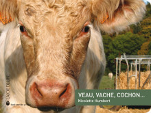 Veau, vache, cochon…