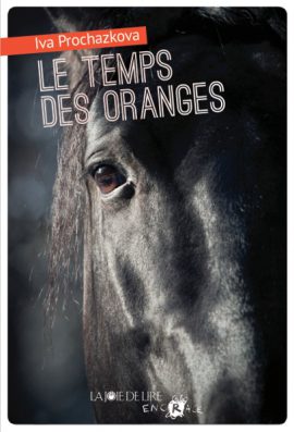 Le Temps des oranges