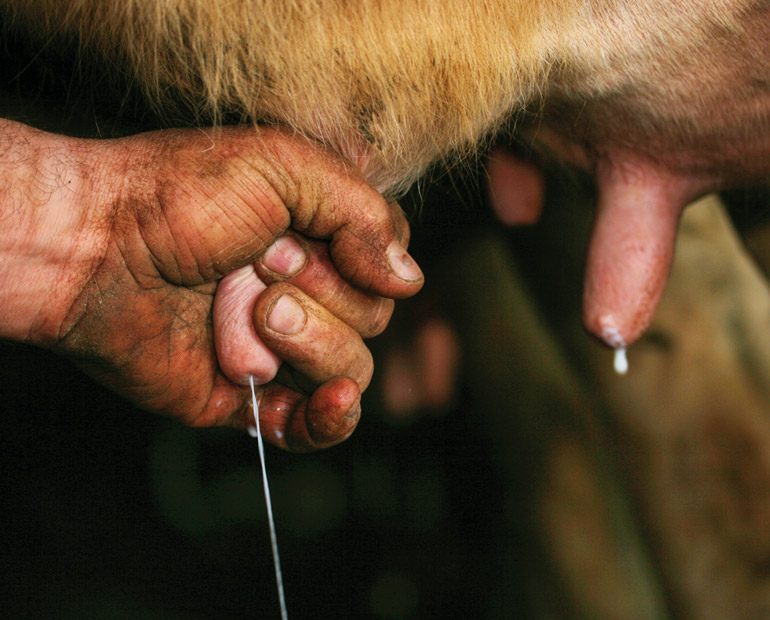 Les gestes de la ferme