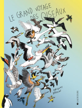 Le grand voyage des oiseaux